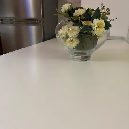 Condor Center Apartment