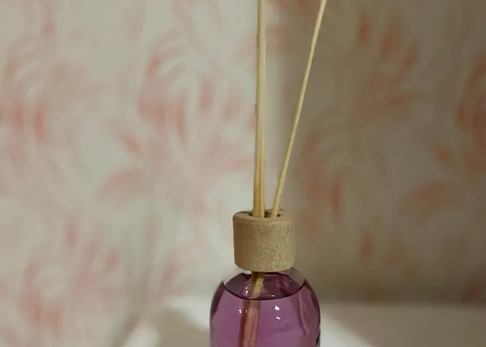 Condor Center Appartamento *