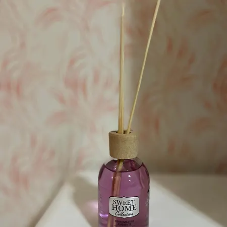 Condor Center 公寓 *